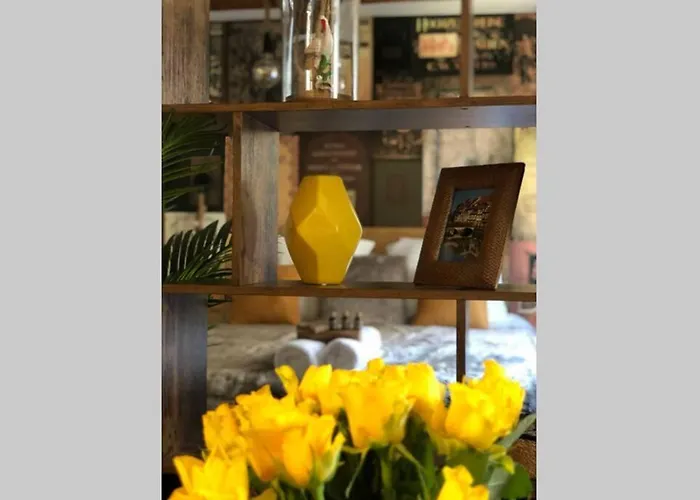 Un Petit Vintage à Apartamento